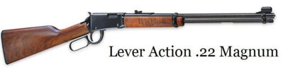 Henry Lever Action Magnum, kal. .22WMR H001M 