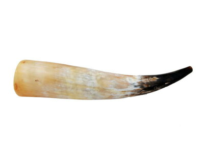 Ručadlo z volského rohu 56 – 60 cm
